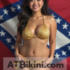 Arkansas Bikini Woman in golden bikini with Arkansas flag