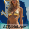 Connecticut bikini woman in Golden bikini in front of Connecticut flag lookalike