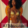 Florida bikini woman in Golden bikini in front of Florida flag lookalike